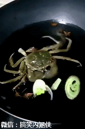 搞笑gif趣图 这螃蟹心真特么大，都这个时候了，还有心思吃葱花 _段子
