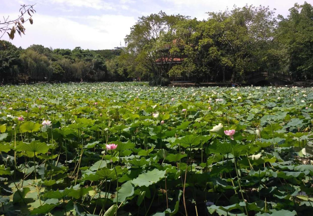 文章配图