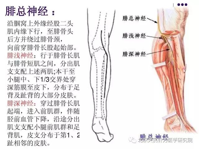 针灸伤到神经怎么办