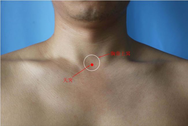 5寸,或平刺;可灸. 6.天突 定位:在颈前区,胸骨上窝中央,前正中线上.