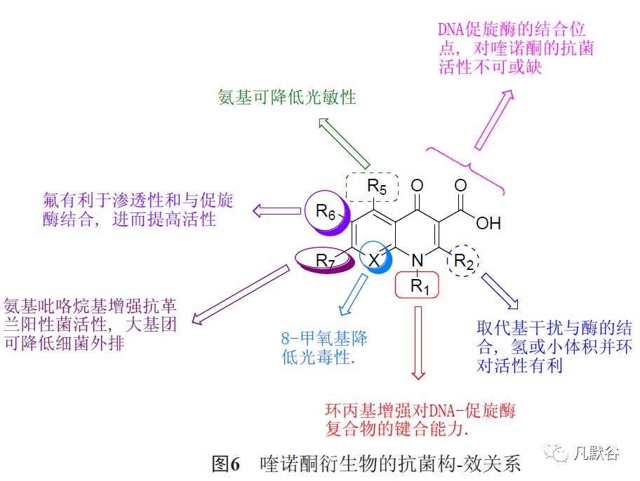 氟喹诺酮类抗菌药的最新研究进展