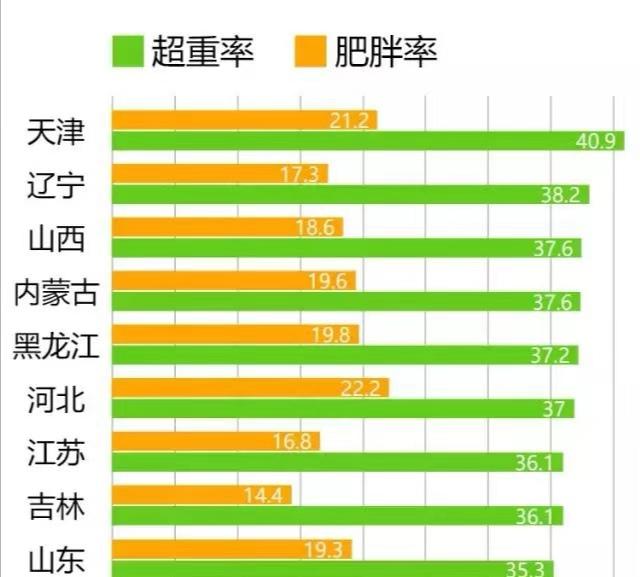 中国肥胖人口统计_中国肥胖人口占比图(3)