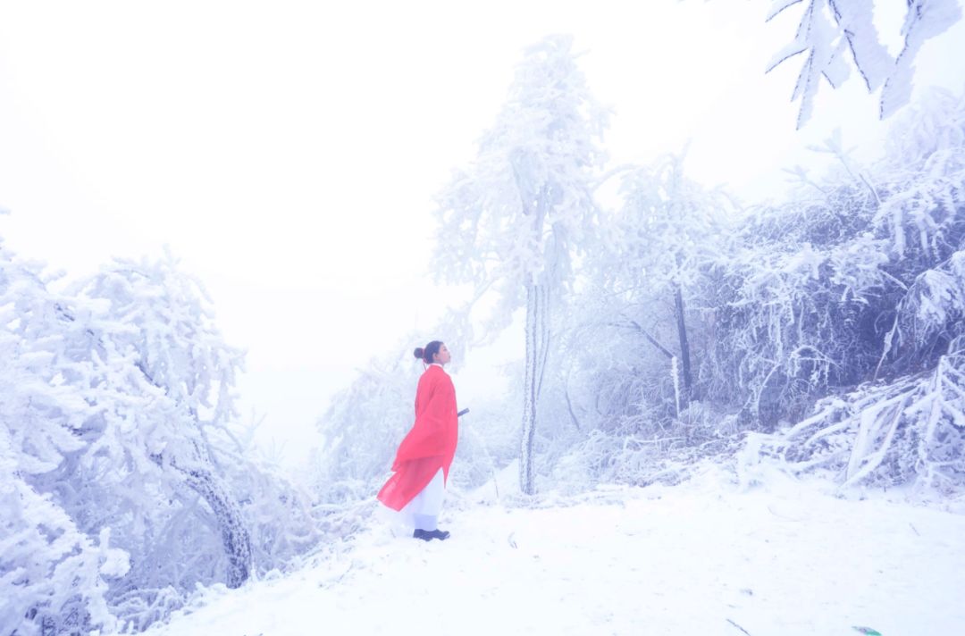 福利来啦 | 都江堰2019年的第一场雪已经到来!_赵公山