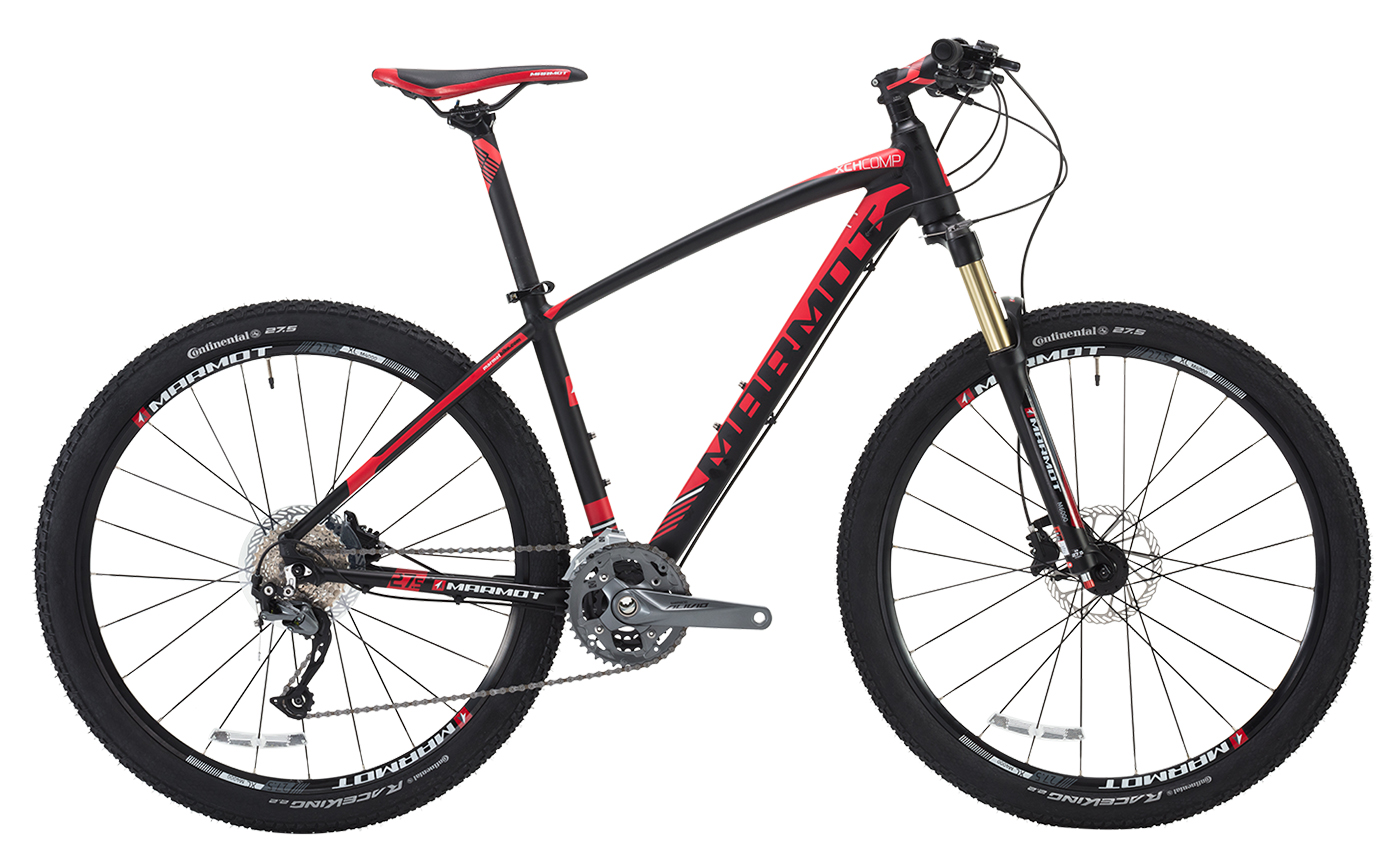 自行车品牌排行_电动自行车品牌排行(2)