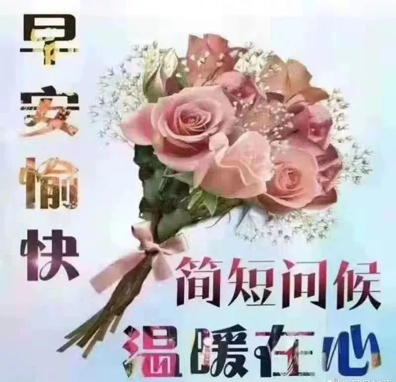 良人唯一的宝贵简谱_跳楼事件频发,请告诉孩子 这世上,除了生死,其他都是小事