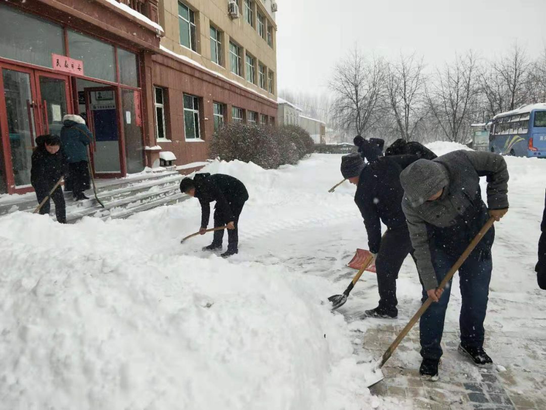 他们浴雪奋战霸气清雪