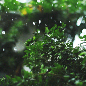 861d5d9acf64434a9b9fdb6f204594c6.gif