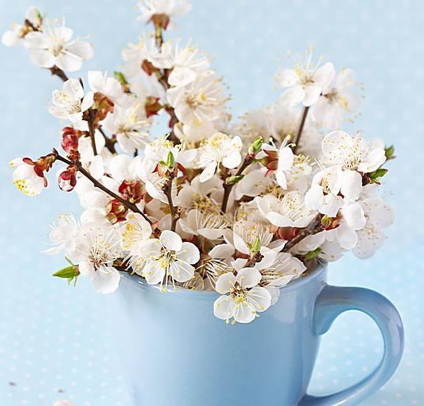 未来6天收获满满当当,诸事顺遂,喜事盈门,赚得