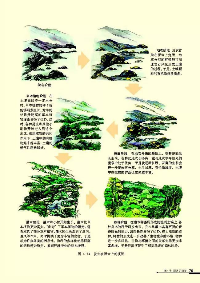 高二生物必修三电子课本（人教版）