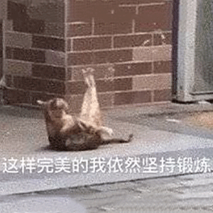 今日抖音表情包集合别等了妹妹我老公刚睡
