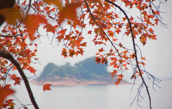 野趣沟,漫山红叶让你舍不得走-