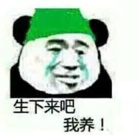 9537ceabec7d4246b31390b213fdd14f.jpeg