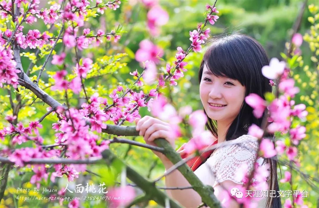 人面桃花
