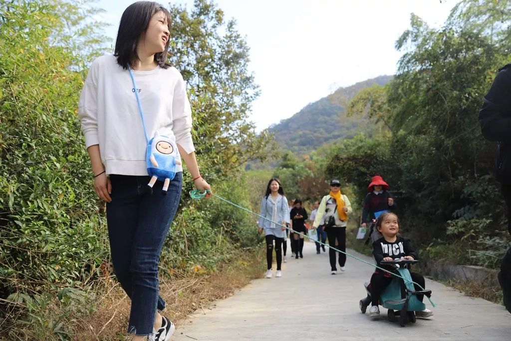 海宁人口有多少人口_海宁鹃湖公园门票多少(2)