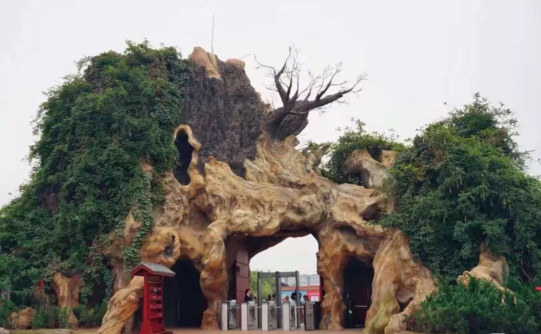 古色古香平遥古城寻根祭祖洪洞大槐树王家大院特色两日游