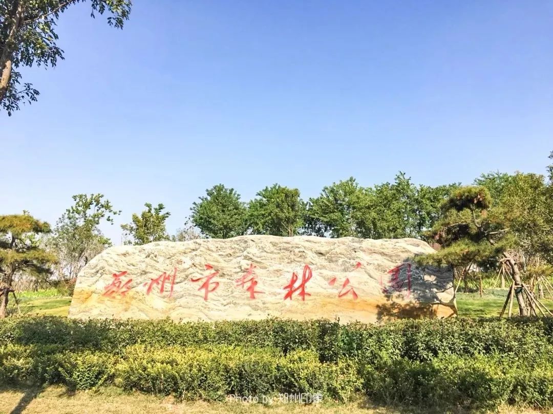 郑州市森林公园地址:金水区众意路西100米挨着北龙湖,是一个精致的小
