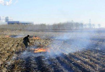 澧县大堰垱gdp_澧县大堰垱镇学习传达县委经济工作会议精神(3)