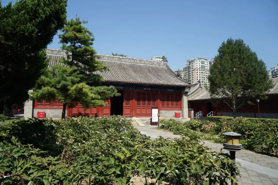 京城闹市寻幽（87）：大钟寺，钟声悠扬历史悠远