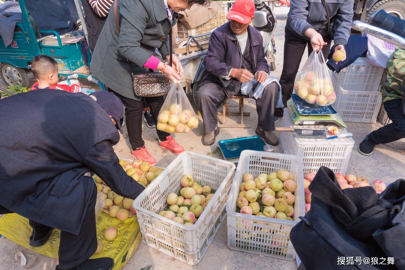 7旬大爷在集上卖稀罕水果，2小时400斤不够卖，老人：后悔种多了
