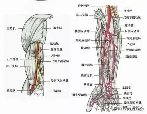 针灸伤到神经怎么办