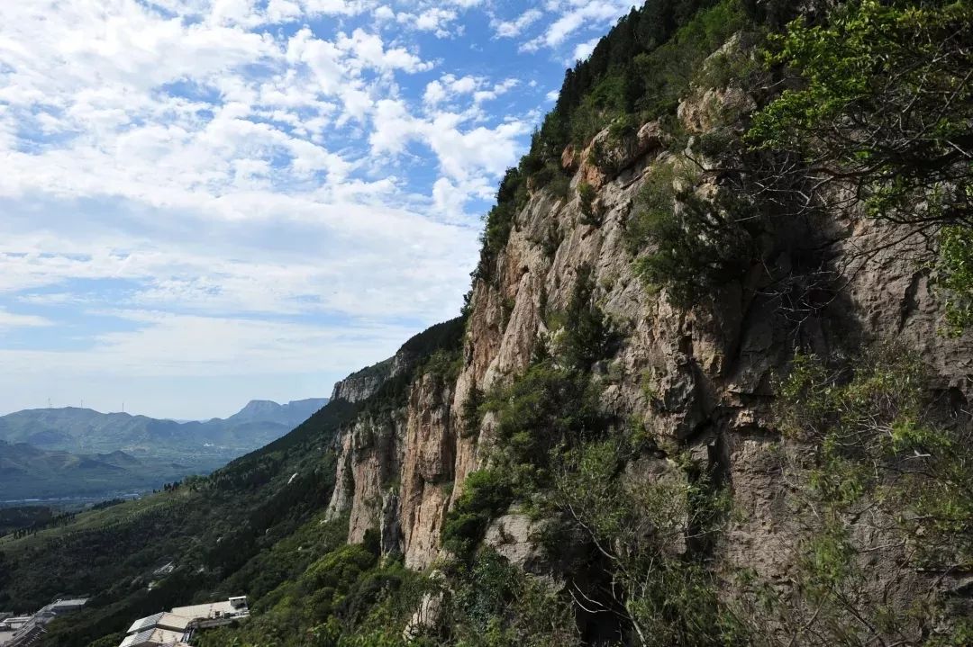 嘿！济南，你到底是什么味道？