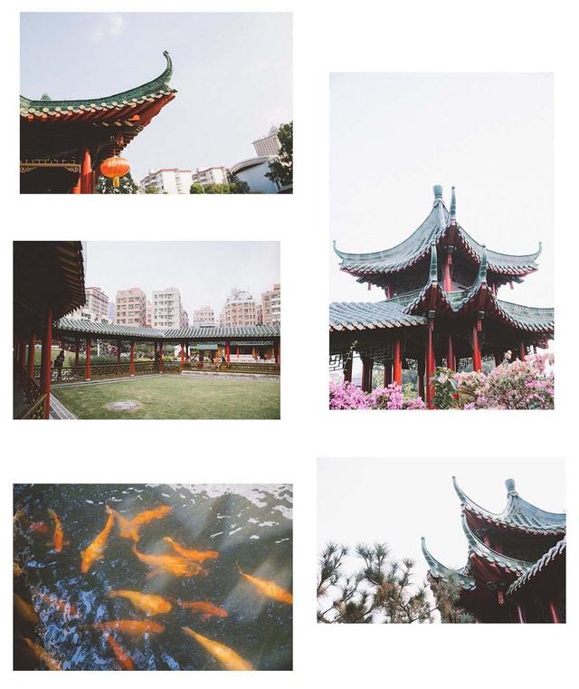 怎么画公园才好看 0342e717584b4d3b8d3a0ede940b0dd7.jpeg