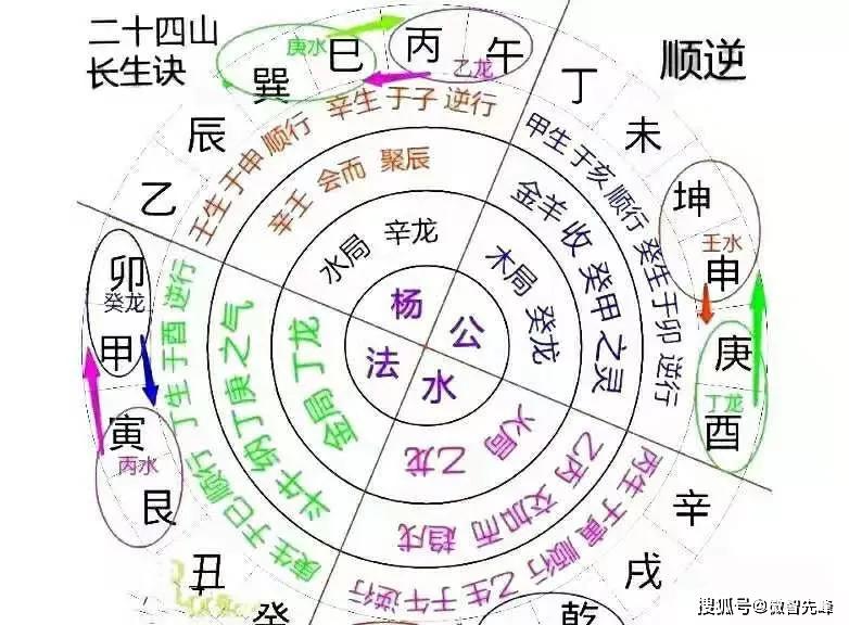 几大人口类型_近几年城市人口比例图