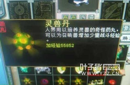 刷腻了<a href='/tags/7398.html' target='_blank'>暗黑</a>3，来试试这款Switch上的ARPG游戏吧：《火炬之光2》 ns火炬之光2和<a href='/tags/7398.html' target='_blank'>暗黑</a>破坏神3哪个好玩(图2)