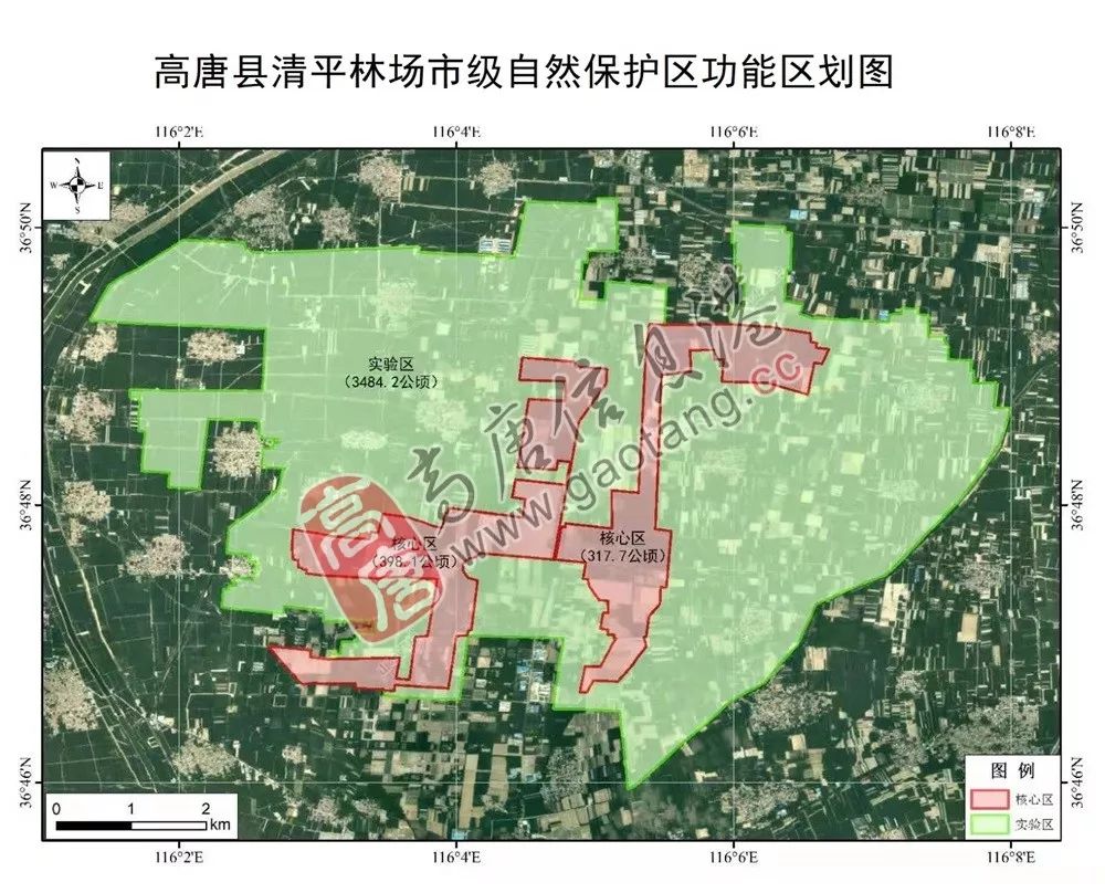 高唐排名_高唐老豆腐图片(3)
