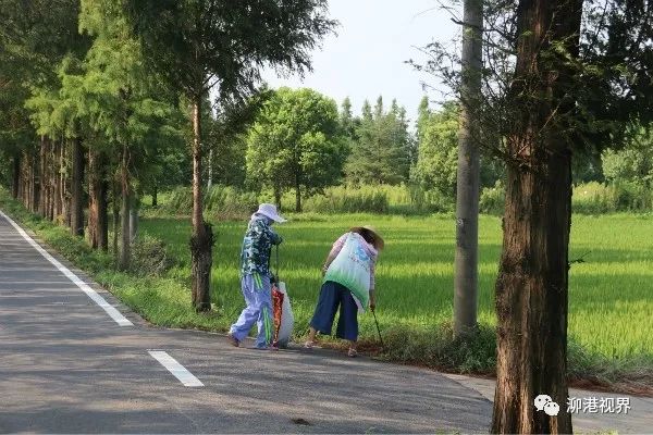 黄桥村人口_苏州黄桥村图片