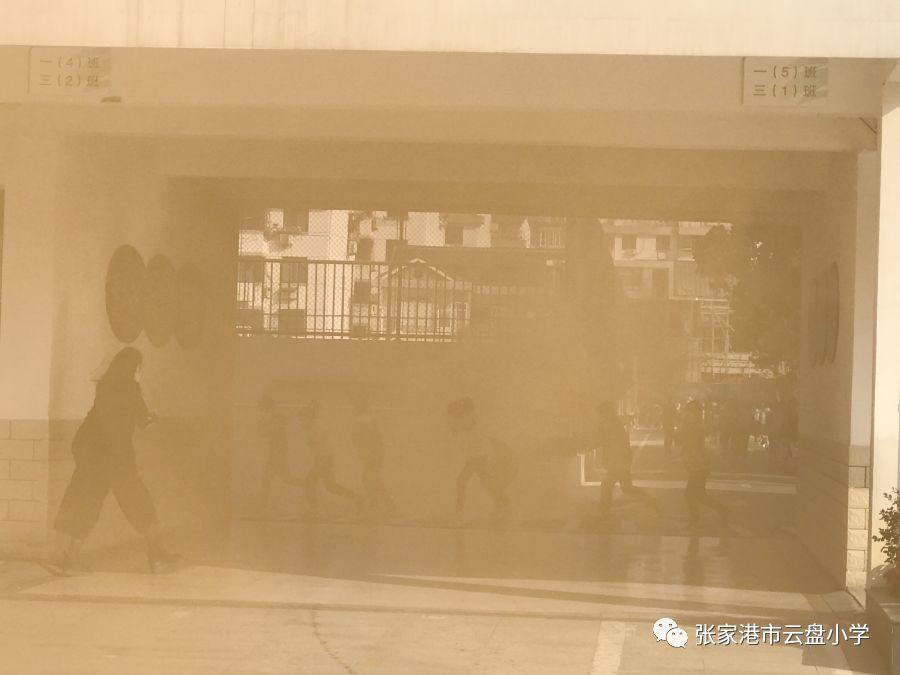 1a9a6393a72e4b4e9de8d262d57849d2.jpeg
