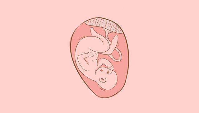 怎么样能怀孕最快 35b2718fdd90481eb2ac8e28b06f8eef.jpeg