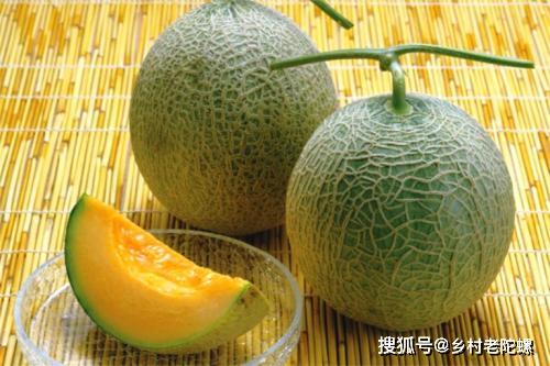 哈密瓜怎么种呢 3b91d70782094e3992cec5acefdb8dbc.jpeg