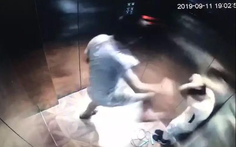 电梯间殴打男童致其头部受伤，安徽合肥一男子被提起公诉