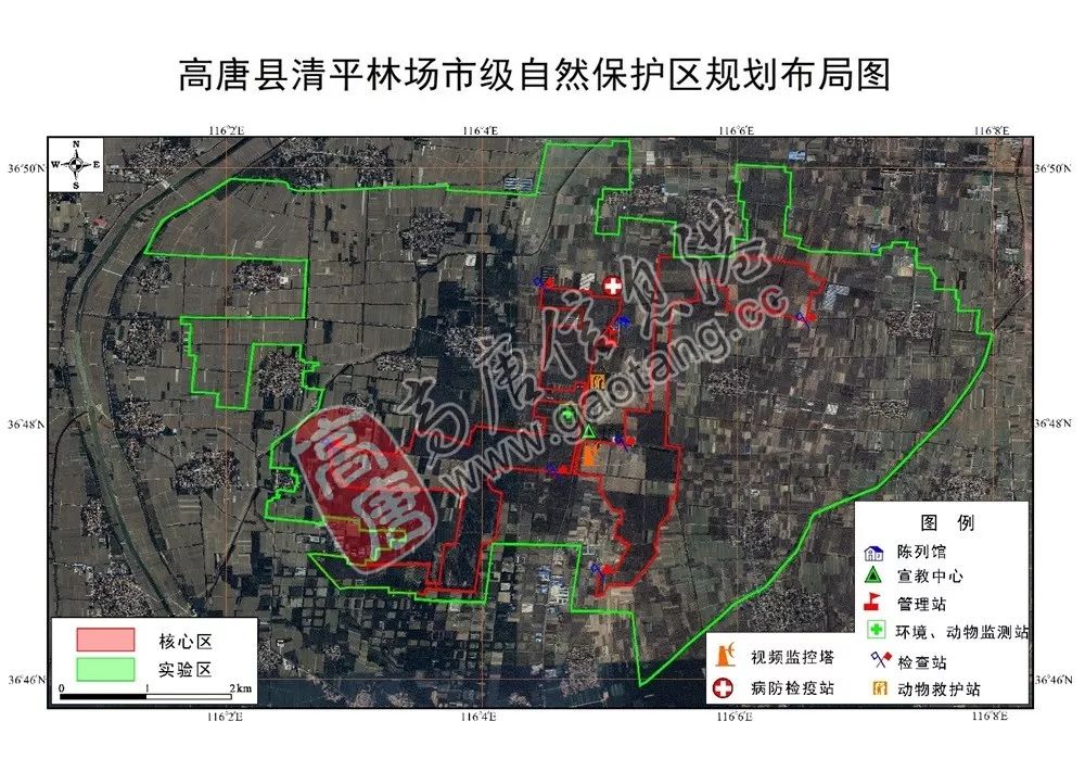高唐排名_高唐老豆腐图片(2)