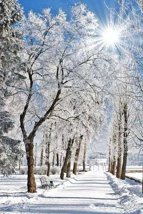 北风吹,雪花飘,美到心醉