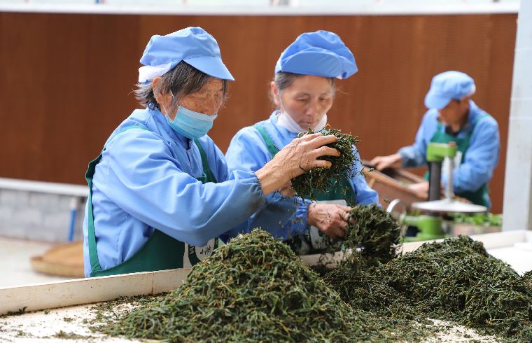 新邵县有多少人口_新邵县地图(2)