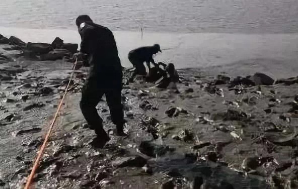 两女子酒后身陷滩涂“烂醉如泥”涨潮前被民警和渔民救上岸