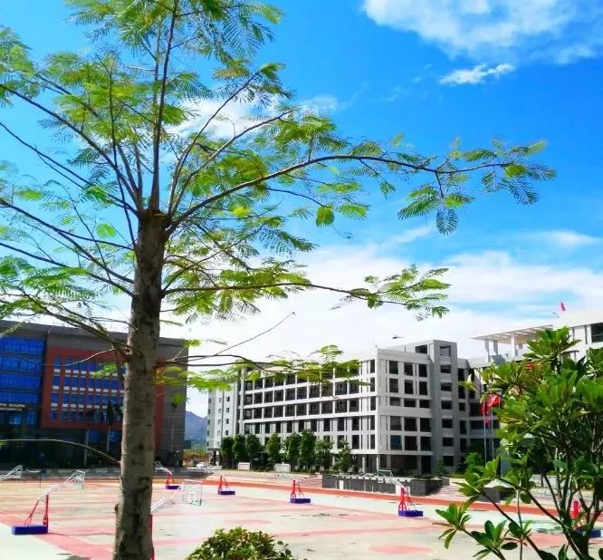 仲恺中学位于惠州市仲恺高新区陈江街道