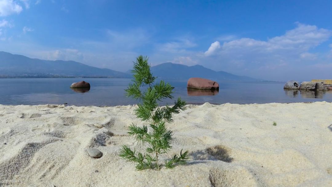 假期不用出远门阳光沙滩海浪打卡西昌的网红景点