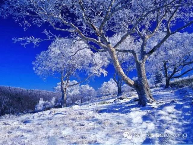 北风吹,雪花飘,美到心醉