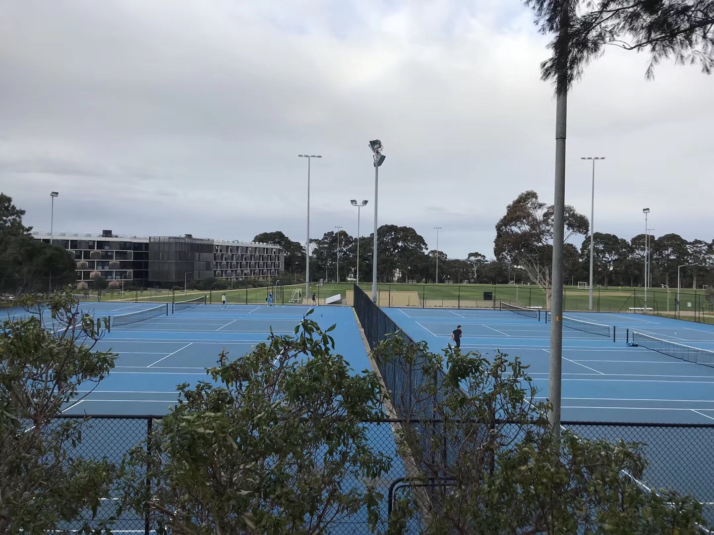 莫纳什大学世界排名_莫纳什大学(3)