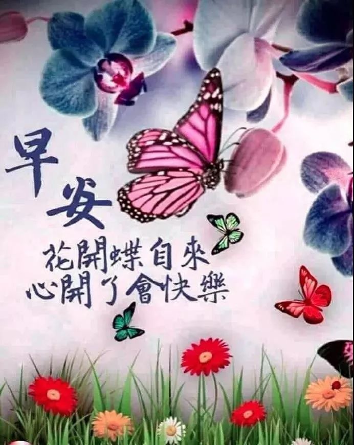 早上好,每天都是快乐的开始,让自己幸福,是最终目的.早安!