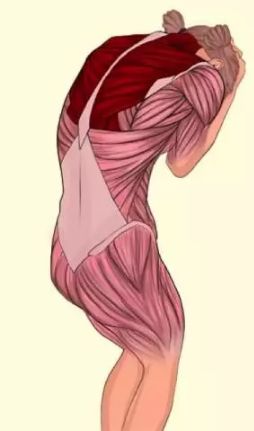 如何拉伸手臂筋 cb3bf278759c4f5780f3a3068b097e80.jpeg