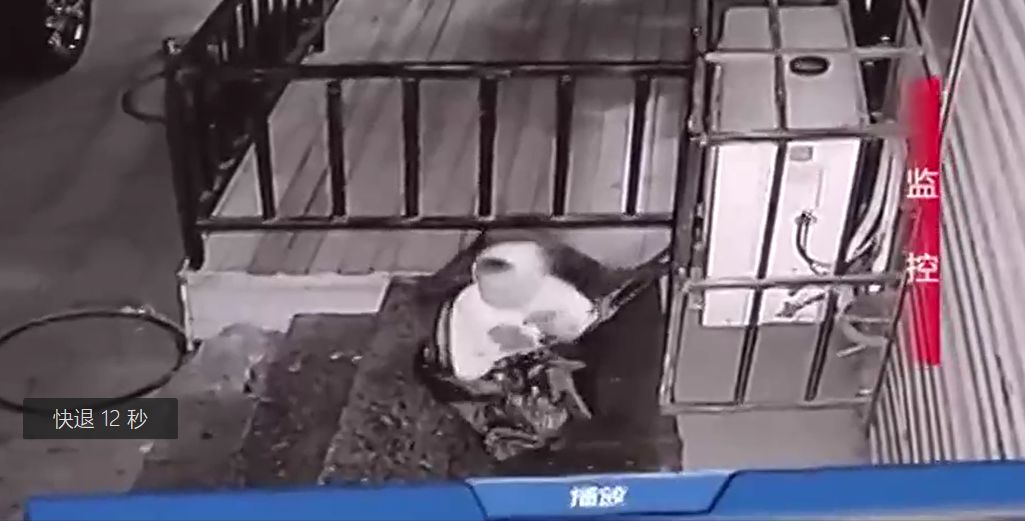 文章配图
