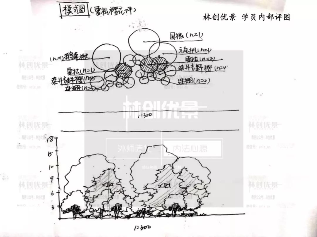 内部学员评图精选2张种植5张园设种植林缘线农田景观跌水设计场地连接