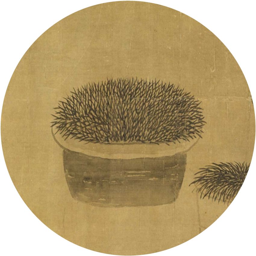 菖蒲和石头,都是苏轼喜爱的,可以一齐供在案头,让他很开心