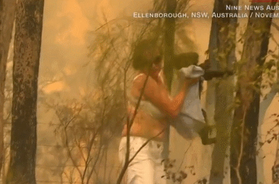 澳大利亚在“燃烧”，女子冲进大火救下一只考拉