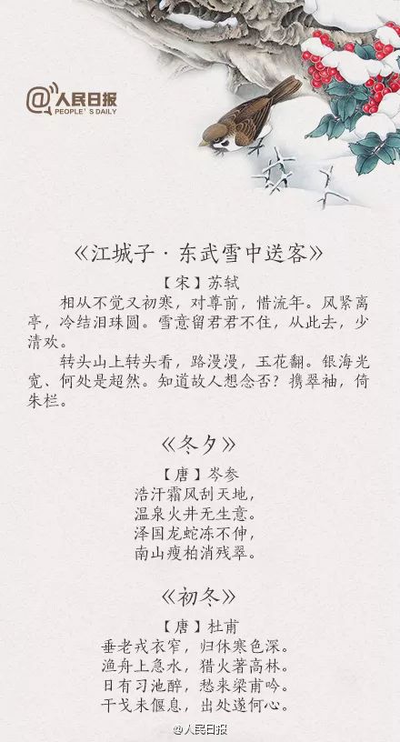 443c45a25efd44d7a88a1ffaf651ff93.jpeg