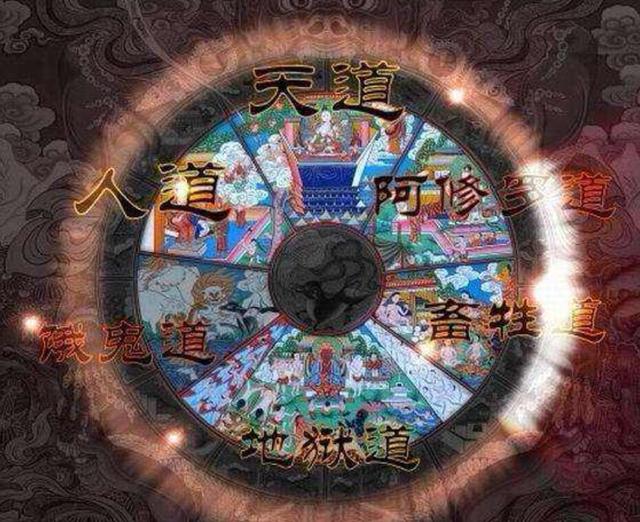 什么是五谷轮回之地 45499f9a8a00402d88646f7610469dd8.jpeg